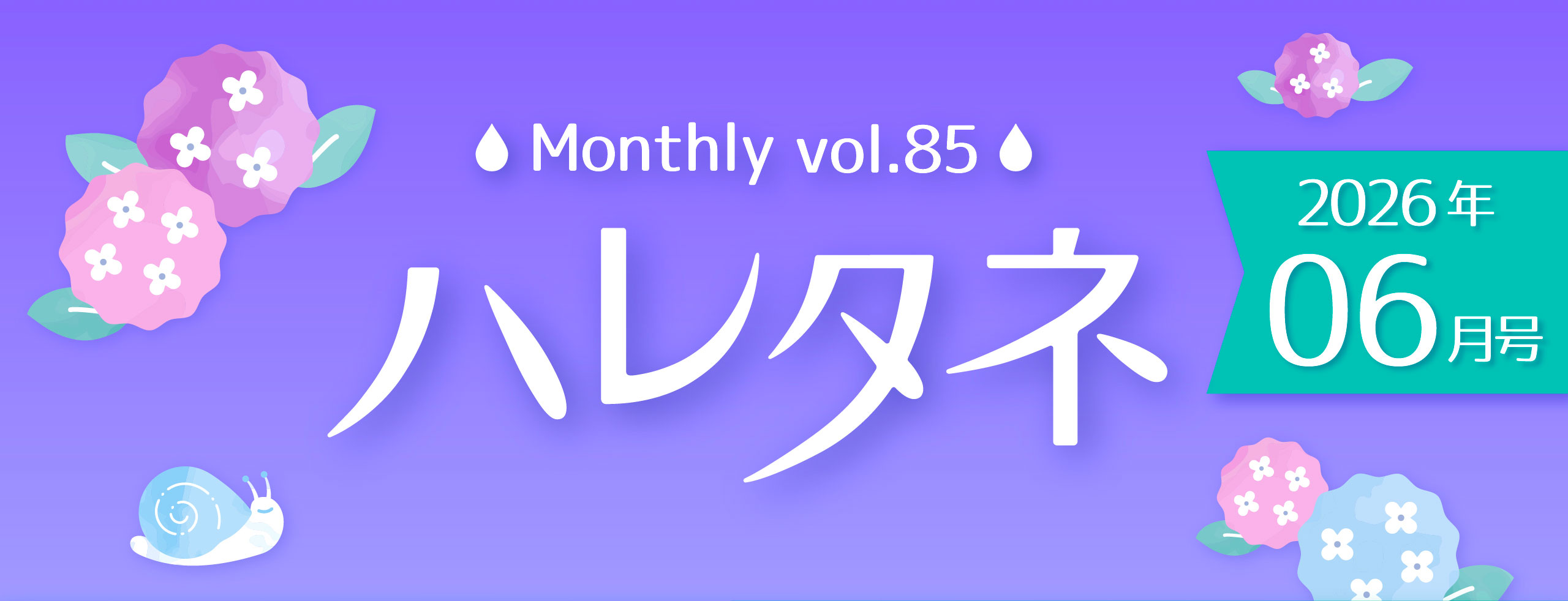 ハレタネメイン画像