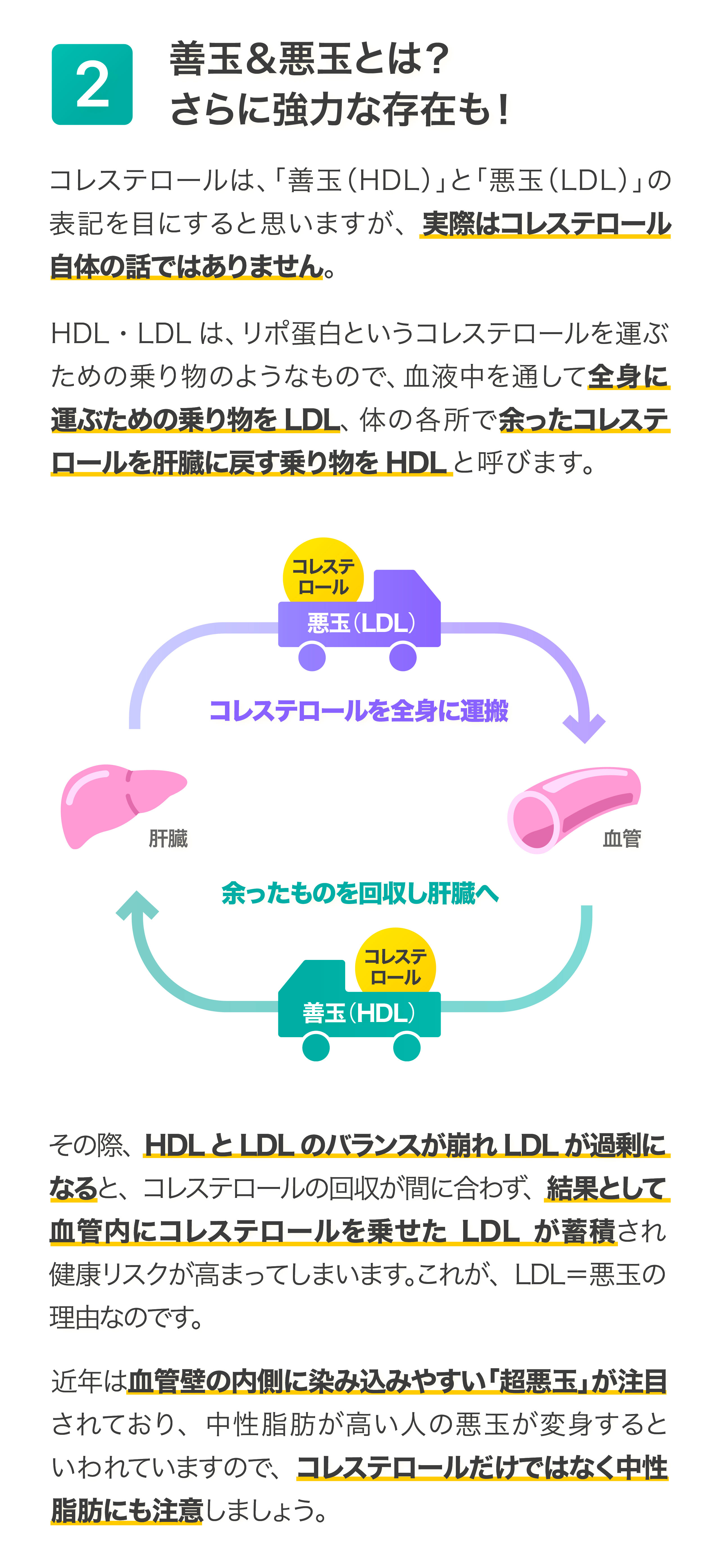 健康特集記事2
