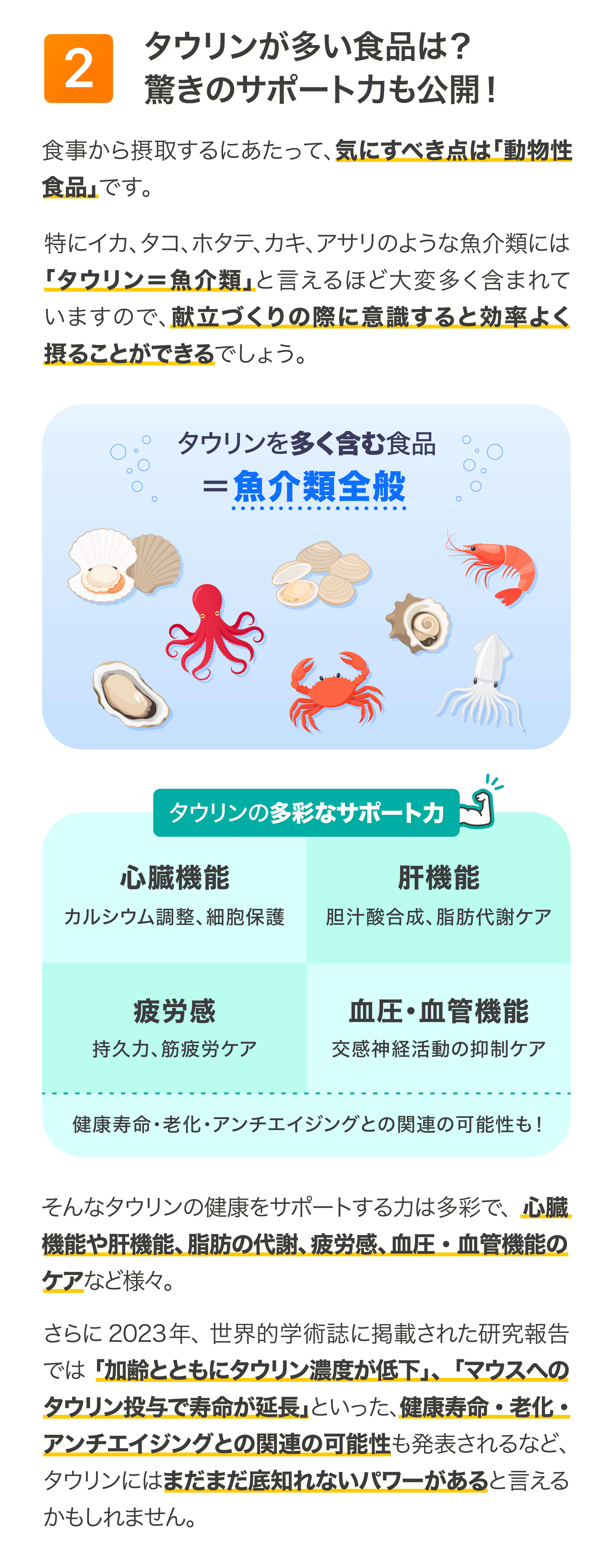 健康特集記事2