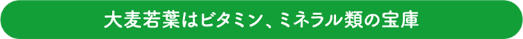 大麦若葉はビタミン、ミネラル類の宝庫