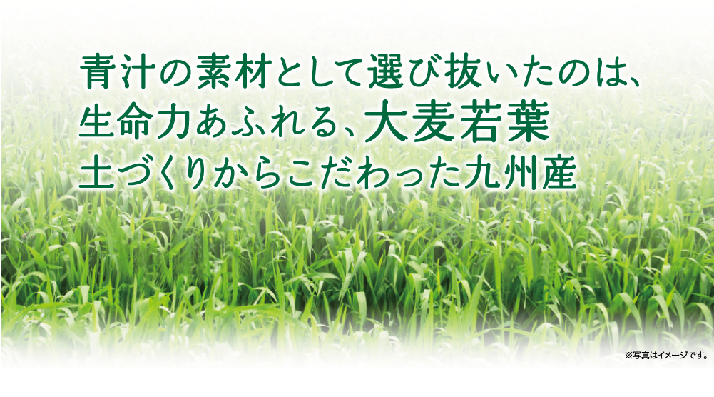 青汁の素材として選び抜いたのは、生命力あふれる、大葉若葉　土づくりからこだわった九州産