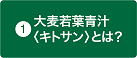 大麦若葉青汁〈キトサン〉とは？