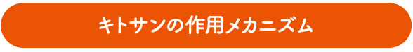 キトサンの作用メカニズム