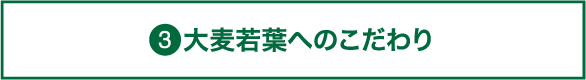 大麦若葉へのこだわり