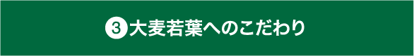 大麦若葉へのこだわり