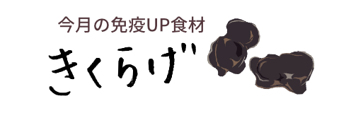 今月の免疫UP食材　きくらげ