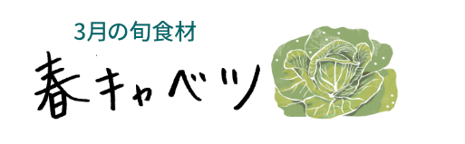 3月の旬食材 春キャベツ