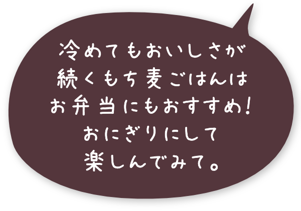 冷めてもおいしさが続くもち麦ごはんはお弁当にもおすすめ！おにぎりにして楽しんでみて。