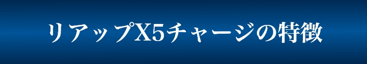 リアップX5チャージの特徴