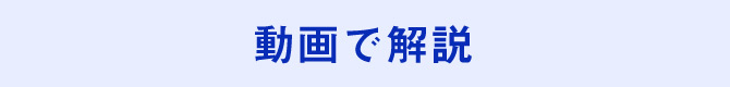 動画で解説