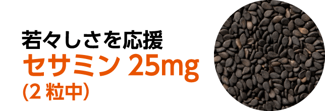若々しさを応援 セサミン25g(2粒中)