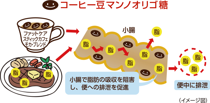 ファットケア スティックカフェ モカ・ブレンド
