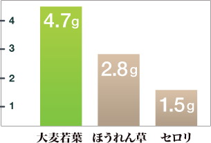 食物繊維含有量の比較(100g)
