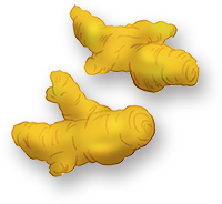 ウコン