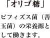 「オリゴ糖」ビフィズス菌(善玉菌)の栄養源として働きます。