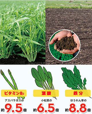 食後血糖値の推移
