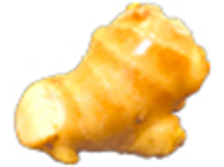 ぽかぽか温まる生姜湯でおなじみ しょうが