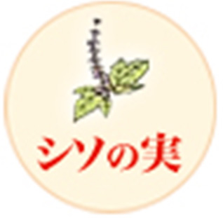 シソの実