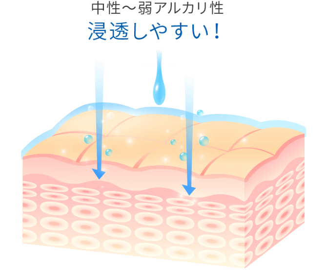 中性〜アルカリ性 浸透しやすい!
