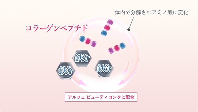 キレイを応援する「コラーゲン」と「鉄