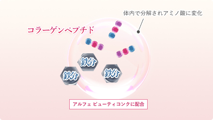 キレイを応援する「コラーゲン」と「鉄
