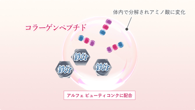 キレイを応援する「コラーゲン」と「鉄
