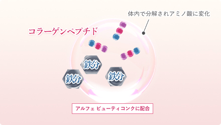 キレイを応援する「コラーゲン」と「鉄