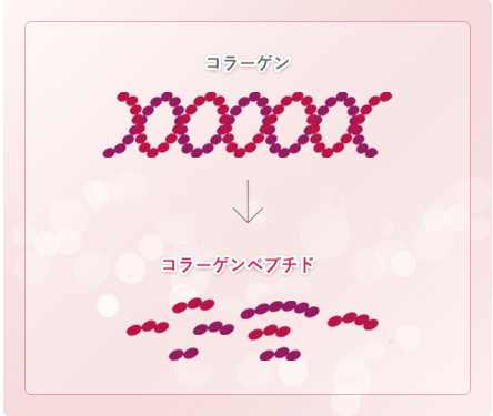 コラーゲンは低分子ペプチドタイプを採用