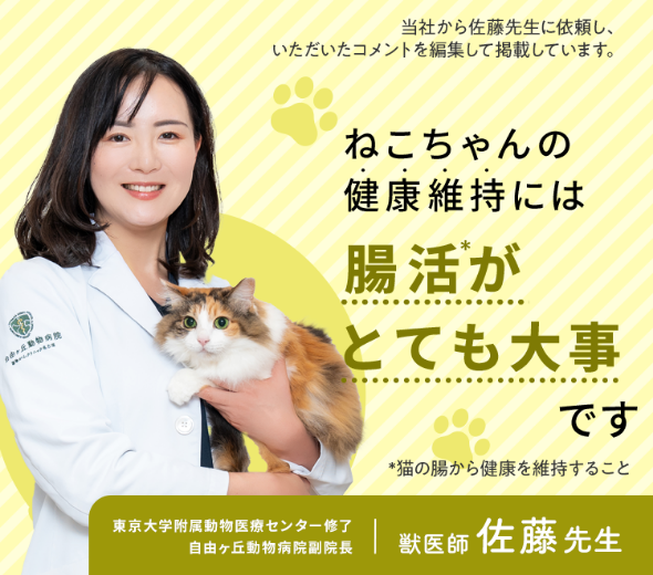 猫ちゃんFIP用のおくすり3錠 - その他