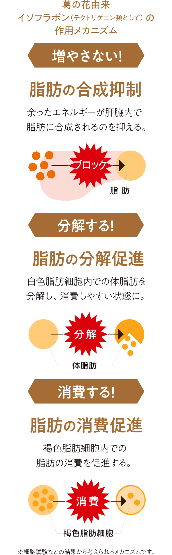 おなかの脂肪対策タブレット（粒タイプ）