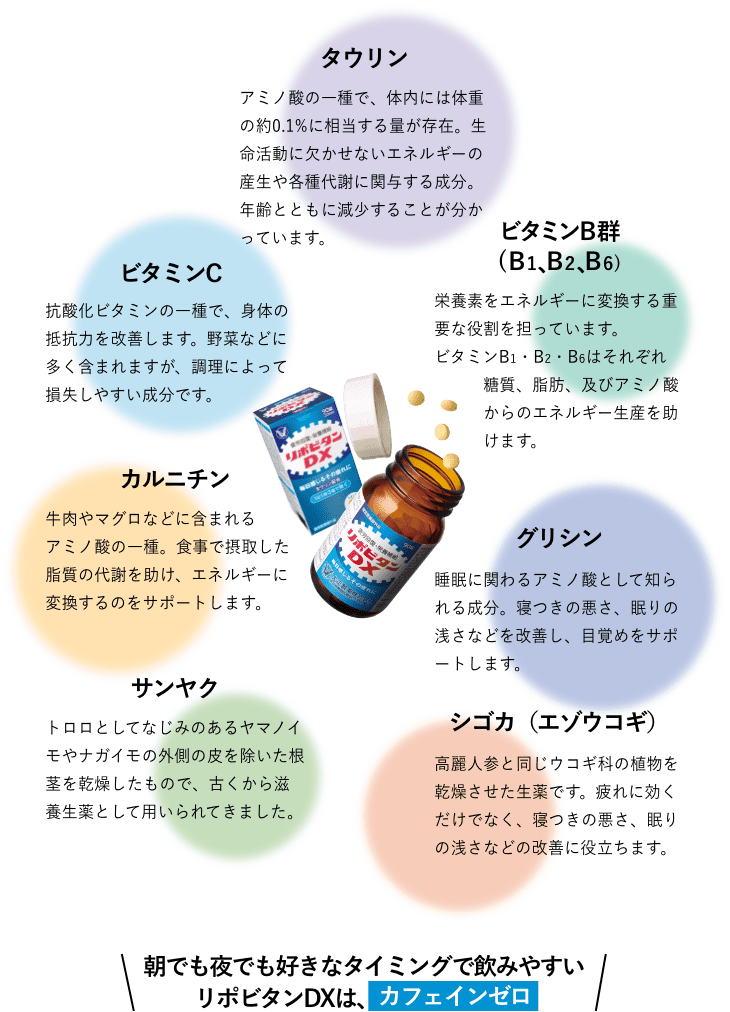タウリン:アミノ酸の一種で、体内には体重の約0.1%に相当する量が存在。生命活動に欠かせないエネルギーの産生や各種代謝に関与する成分。年齢とともに減少することが分かっています。 ビタミンB群(B1、B2、B6):栄養素をエネルギーに変換する重要な役割を担っています。ビタミンB1・B2・B6はそれぞれ糖質、脂肪、及びアミノ酸からのエネルギー生産を助けます。 ビタミンC:抗酸化ビタミンの一種で、身体の抵抗力を改善します。野菜などに多く含まれますが、調理によって損失しやすい成分です。 グリシン:睡眠に関わるアミノ酸として知られる成分。寝つきの悪さ、眠りの浅さなどを改善し、目覚めをサポートします。 カルニチン:牛肉やマグロなどに含まれるアミノ酸の一種。食事で摂取した脂質の代謝を助け、エネルギーに変換するのをサポートします。 サンヤク:トロロとしてなじみのあるヤマノ イモやナガイモの外側の皮を除いた根茎を乾燥したもので、古くから滋養生薬として用いられてきました。 シゴカ(エゾウコギ):高麗人参と同じウコギ科の植物を乾燥させた生薬です。疲れに効くだけでなく、寝つきの悪さ、眠りの浅さなどの改善に役立ちます。 飲み続けやすさにもこだわっています!ノンカフェイン・低カロリー(3錠で3.95kcal) 飲みやすさにもこだわっています!