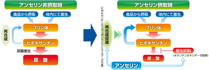 プリンケア 粉末スティック