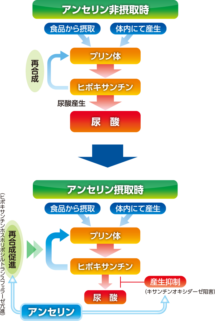 プリンケア 粉末スティック