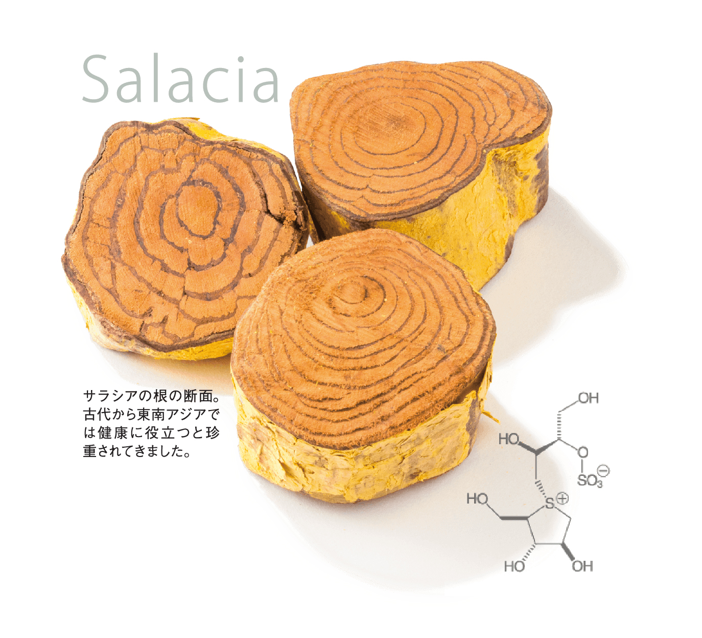 食事の前に1粒の利便性