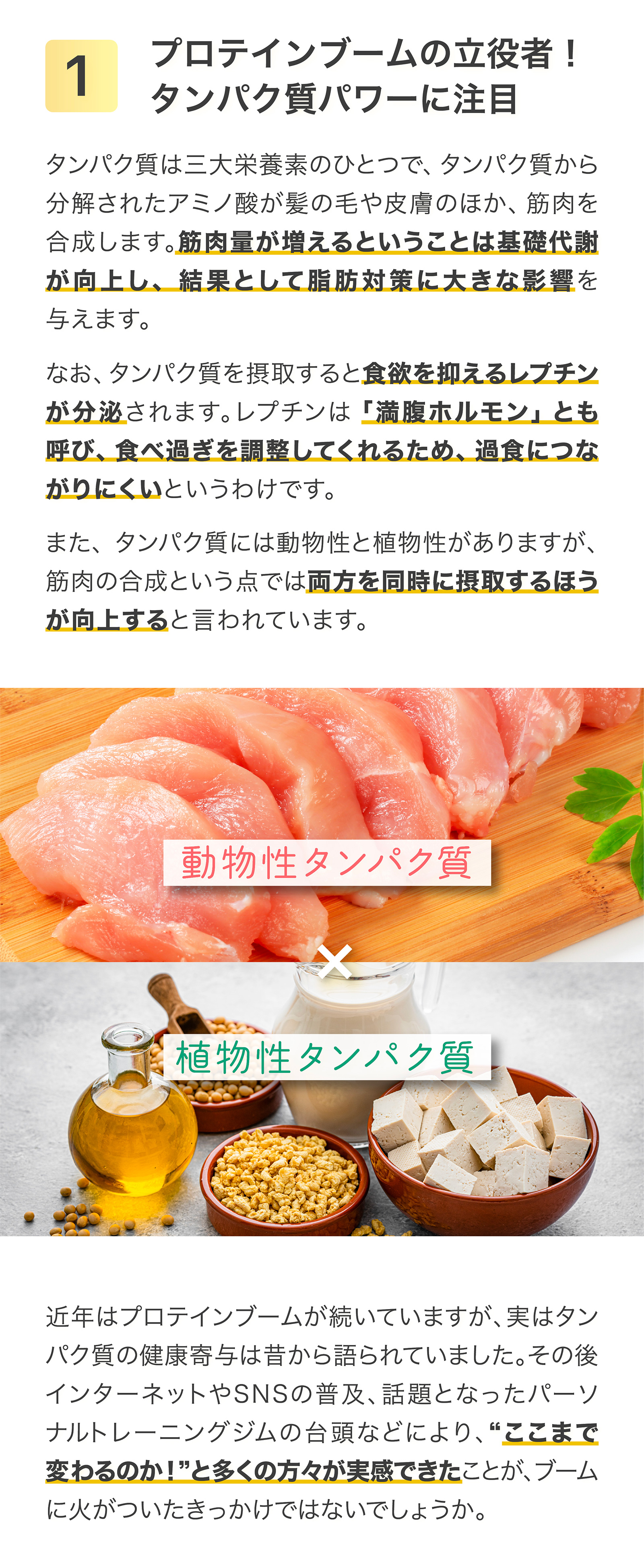 健康特集記事1