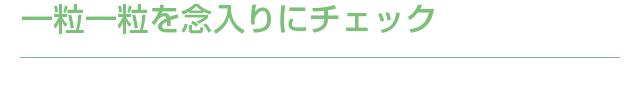 一粒一粒を念入りにチェック