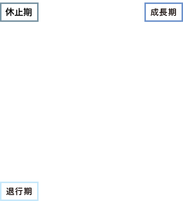 成長期→退行期→休止期