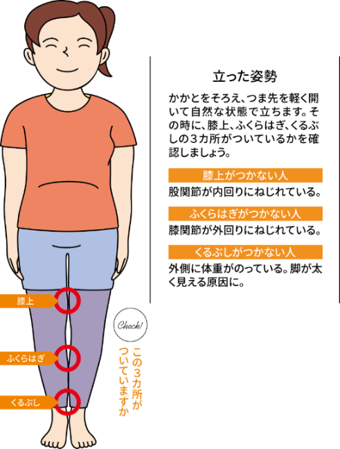 立った姿勢：かかとをそろえ、つま先を軽く開いて自然な状態で立ちます。その時に、膝上、ふくらはぎ、くるぶしの３カ所がついているかを確認しましょう。　膝上がつかない人：股関節が内回りにねじれている。　ふくらはぎがつかない人：膝関節が外回りにねじれている。　くるぶしがつかない人：外側に体重がのっている。脚が太く見える原因に。