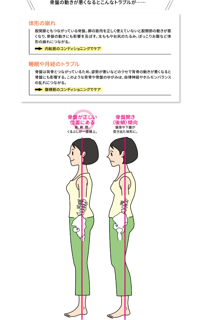 骨盤の動きが悪くなるとこんなトラブルが……　体形の崩れ：股関節ともつながっている骨盤。脚の筋肉を正しく使えていないと股関節の動きが悪くなり、骨盤の動きにも影響を及ぼす。太ももやお尻のたるみ、ぽっこりお腹など体形の崩れにつながる。　睡眠や月経のトラブル：骨盤は背骨とつながっているため、姿勢が悪いなどのクセで背骨の動きが悪くなると骨盤にも影響する。このような背骨や骨盤のゆがみは、自律神経やホルモンバランスの乱れにつながる。○骨盤が正しい位置にある…耳、肩、膝、くるぶしが一直線上。　×骨盤開き（後傾）傾向…猫背や下腹が突き出た体形に。