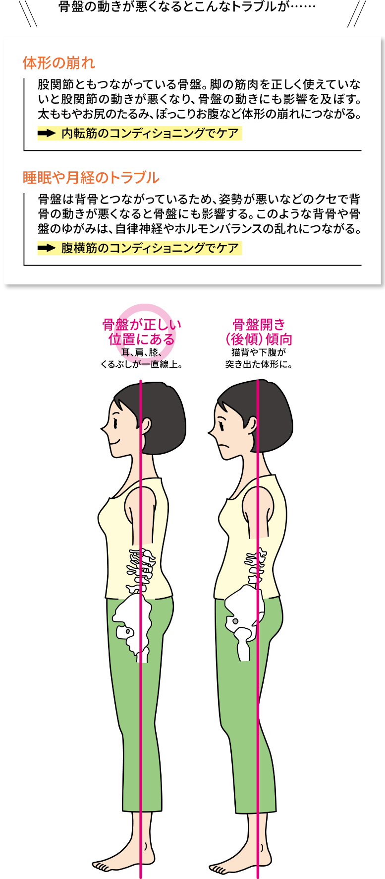 骨盤の動きが悪くなるとこんなトラブルが……　体形の崩れ：股関節ともつながっている骨盤。脚の筋肉を正しく使えていないと股関節の動きが悪くなり、骨盤の動きにも影響を及ぼす。太ももやお尻のたるみ、ぽっこりお腹など体形の崩れにつながる。　睡眠や月経のトラブル：骨盤は背骨とつながっているため、姿勢が悪いなどのクセで背骨の動きが悪くなると骨盤にも影響する。このような背骨や骨盤のゆがみは、自律神経やホルモンバランスの乱れにつながる。○骨盤が正しい位置にある…耳、肩、膝、くるぶしが一直線上。　×骨盤開き（後傾）傾向…猫背や下腹が突き出た体形に。