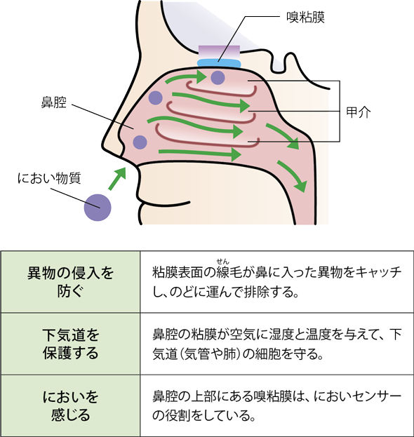 鼻 から ゼリー 状 の 塊