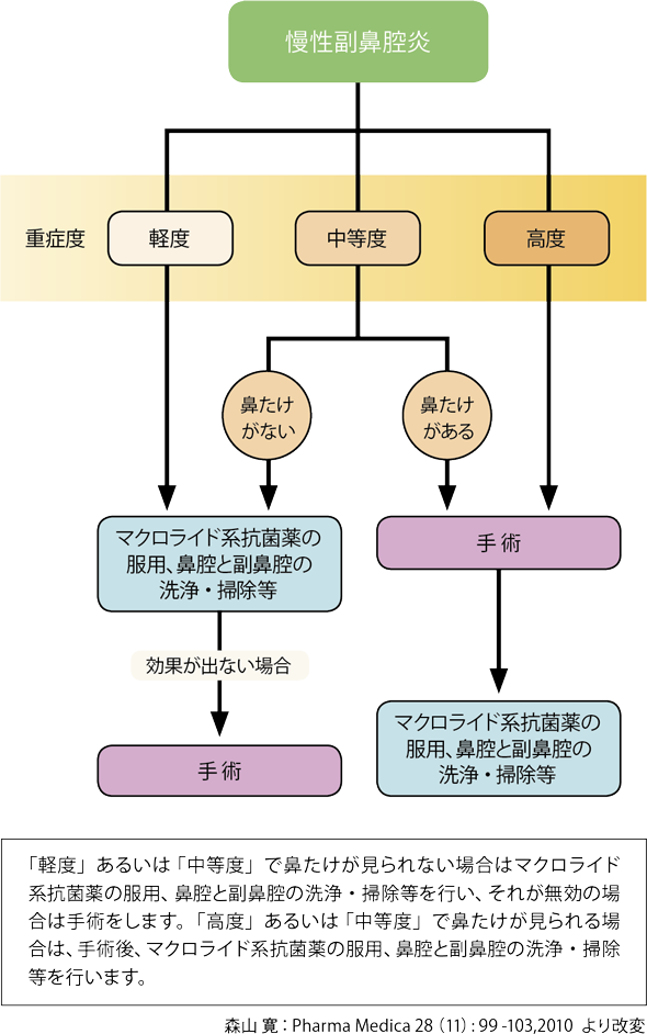 慢性 副 鼻腔 炎