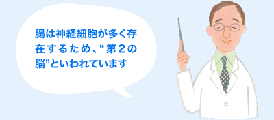 腸は神経細胞が多く存在するため、“第2の脳”といわれています