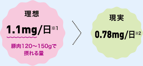 理想 1.1mg/日※1 豚肉120～150gで摂れる量　＞　現実 0.78mg/日※2