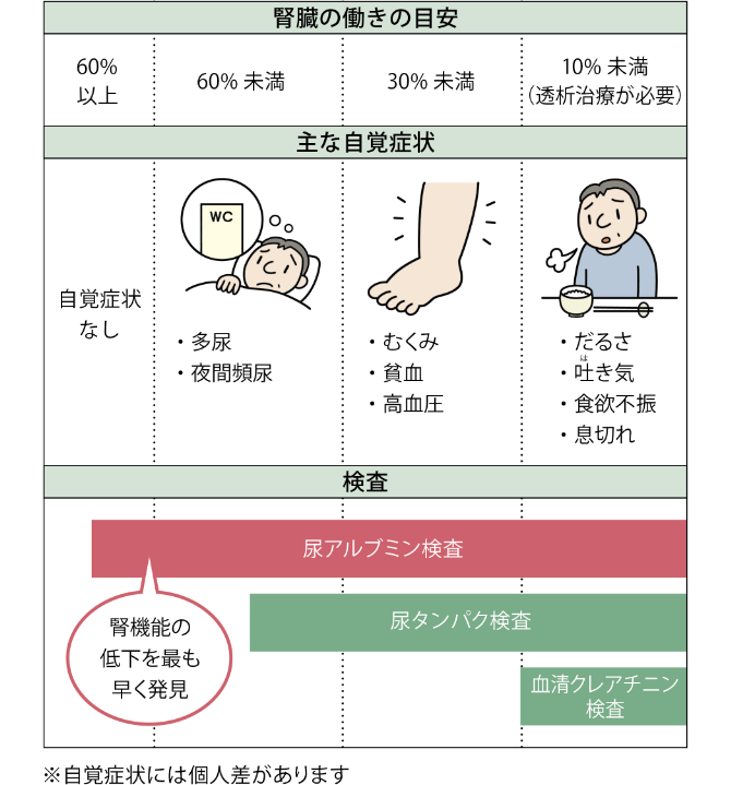 正常…眼底にある薄い神経の膜で、毛細血管が張り巡らされている。　単純網膜症…高血糖により網膜の毛細血管がもろくなると、血管が破れて眼底出血が起こる。自覚症状なし。　増殖前網膜症…毛細血管が詰まり栄養や酸素が行き届かず、網膜に白い斑点やむくみが起こる。自覚症状なし。　増殖網膜症…血管が詰まると新たにもろい血管や増殖膜がつくられる。出血を起こすと視力低下、飛蚊症が起こり、増殖膜により網膜が引きはがされる（網膜剥離）と失明する。