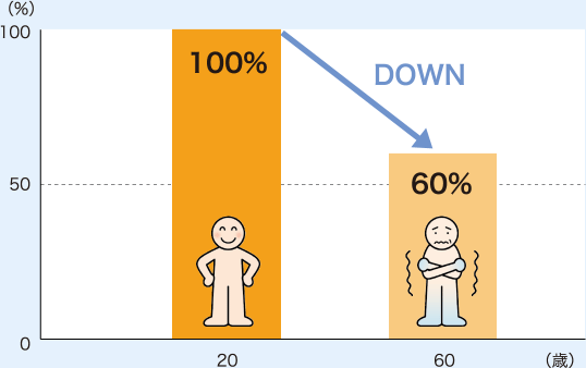 20歳の毛細血管を100％とすると、60歳では60％まで減少する