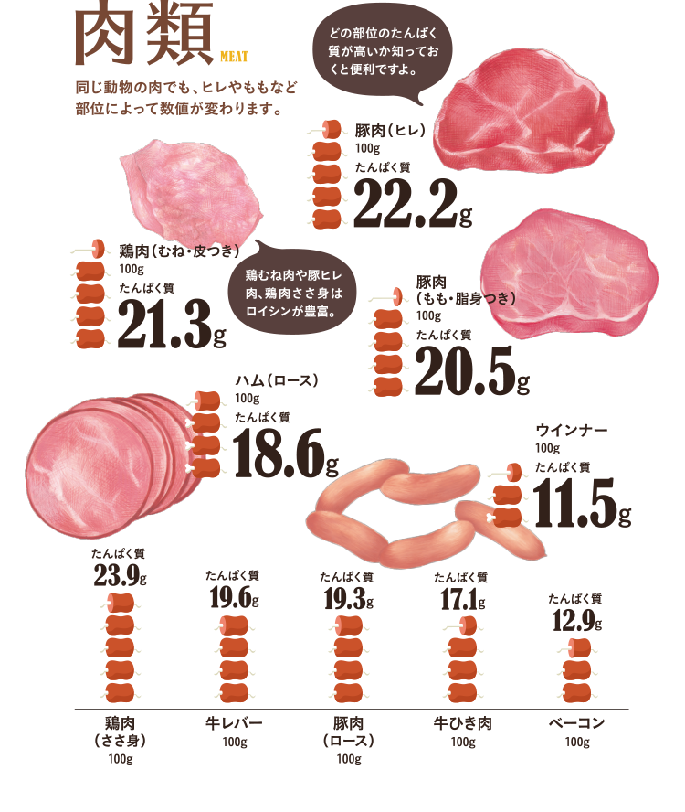 肉類　同じ動物の肉でも、ヒレやももなど部位によって数値が変わります。どの部位のたんぱく質が高いか知っておくと便利ですよ。　豚肉（ヒレ）100g…たんぱく質22.2g、鶏肉（むね・皮付き）100g…たんぱく質21.3g、豚肉（もも・脂身付き）100g…たんぱく質20.5g、ハム100g…たんぱく質16.5g、ウインナー100g…たんぱく質13.2g、鶏肉（ささ身）100g…たんぱく質23.0g、牛レバー100g…たんぱく質19.6g、豚肉（ロース）100g…たんぱく質19.3g、牛ひき肉100g…たんぱく質17.1g、ベーコン100g…たんぱく質12.9g
