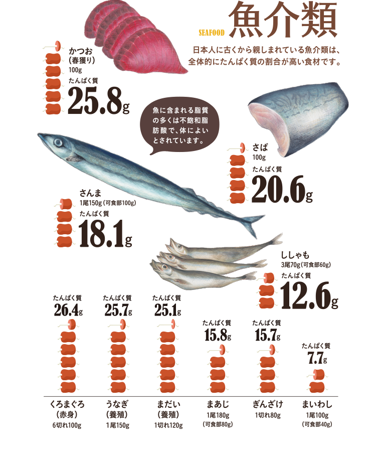 魚介類　日本人に古くから親しまれている魚介類は、全体的にたんぱく質の割合が高い食材です。魚介類は牛肉や豚肉に比べて脂質が低いのも特徴。　かつお100g…たんぱく質25.8g、さば100g…たんぱく質20.6g、さんま1尾150g（可食部100g）…たんぱく質17.6g、ししゃも3尾70g（可食部60g）…たんぱく質12.6g、うなぎ（養殖）1尾150g…たんぱく質25.7g、まだい（天然）1切れ120g…たんぱく質24.7g、まあじ1尾180g（可食部80g）…たんぱく質15.8g、ぎんざけ1切れ80g…たんぱく質15.7g、くろまぐろ（赤身）1食分50g…たんぱく質13.2g、まいわし1尾100g（可食部40g）…たんぱく質7.7g