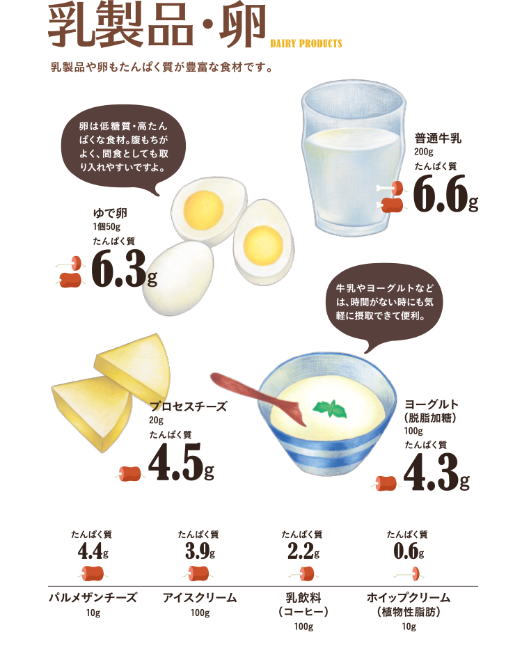 乳製品・卵　乳製品や卵もたんぱく質が豊富な食材です。卵は低糖質・高たんぱくな食材。腹持ちがよく、間食としても取り入れやすいですよ。牛乳やヨーグルトなどは、時間がない時にも気軽に摂取できて便利。ゆでたまご1個50g…たんぱく質6.5g、普通牛乳200g…たんぱく質6.6g、プロセスチーズ20g…たんぱく質4.5g、ヨーグルト（脱脂加糖）100g…たんぱく質4.3g、パルメザンチーズ10g…たんぱく質4.4g、アイスクリーム100g…たんぱく質3.9g、乳飲料（コーヒー）…たんぱく質2.2g、ホイップクリーム（植物性脂肪）…たんぱく質0.6g