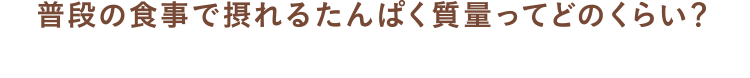 普段の食事で摂れるたんぱく質量ってどのくらい？